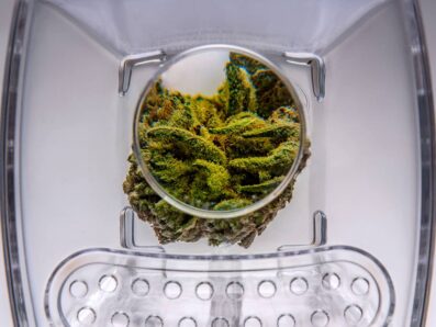 Bud Pod