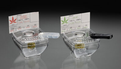 Bud Pod™ - Image 3