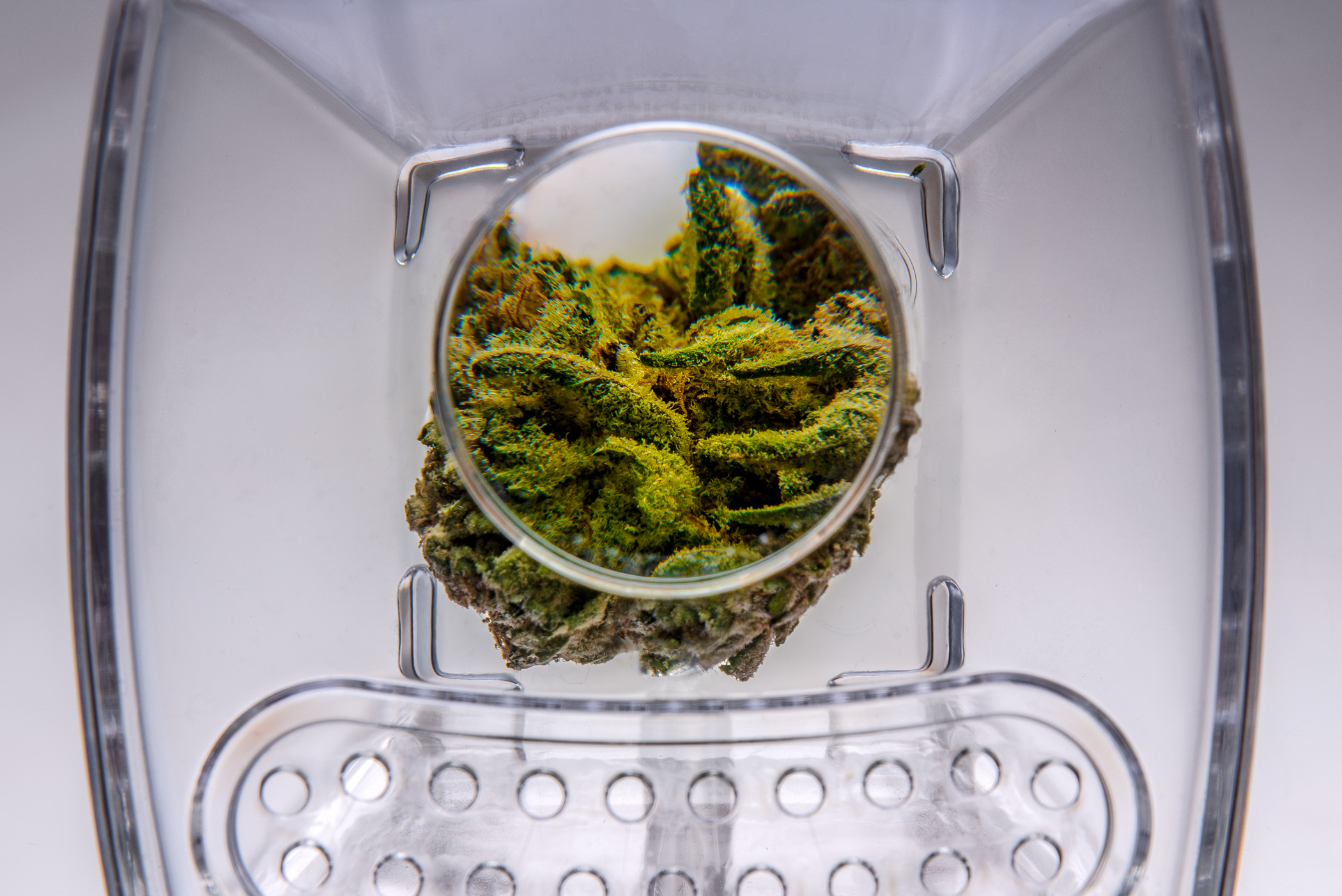 Bud Pod™ Seals Airtight for Freshness Bud Bar Displays®