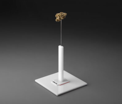 Photographers ‘Nug Spike