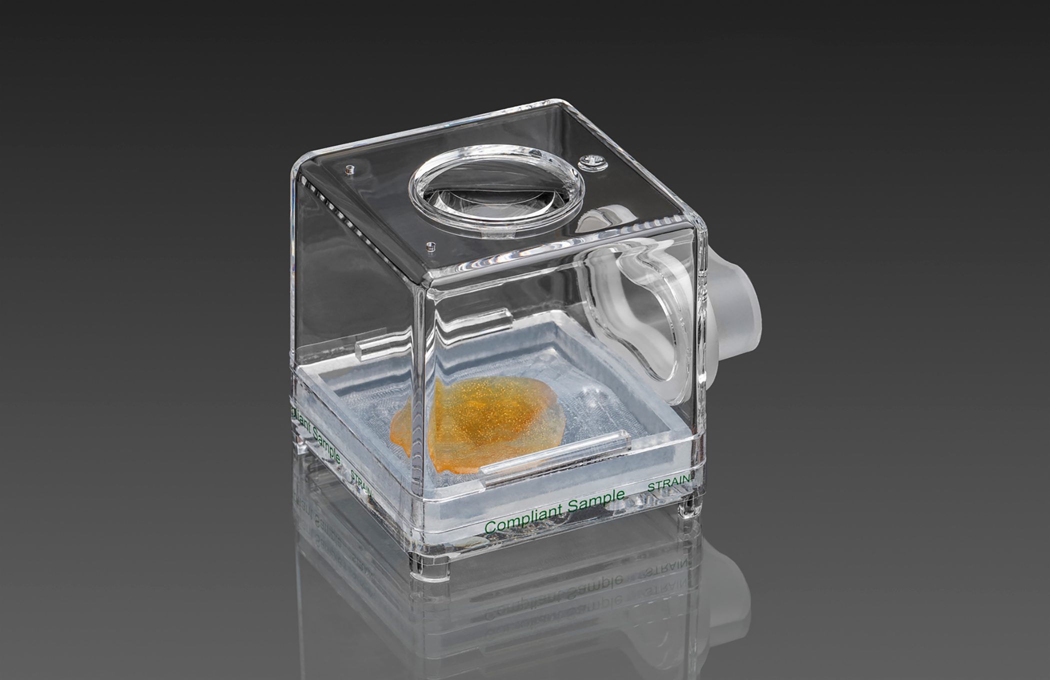 A close-up image of a cannabis concentrate Display pod