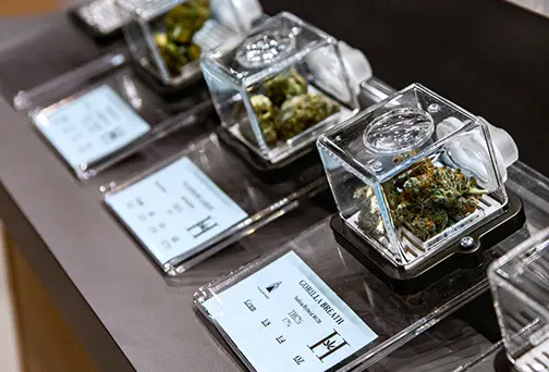Choosing a Sales Floor Model for Your Dispensary