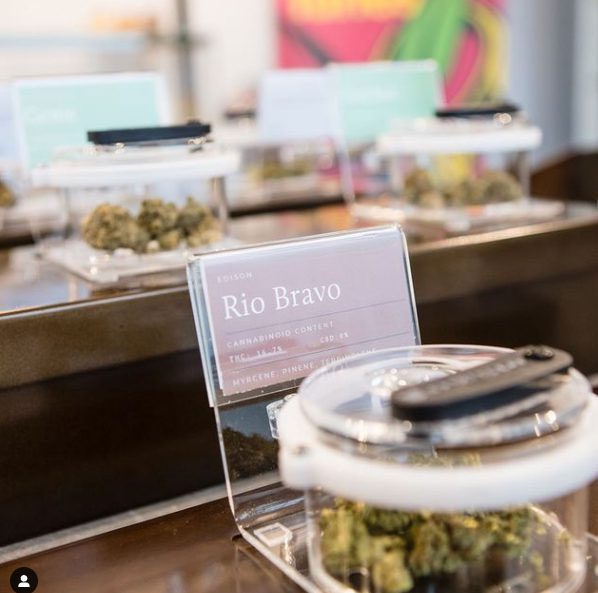 Sensory Pod™ flower display with Rio Bravo strain information card and cannabis sample in a retail store.