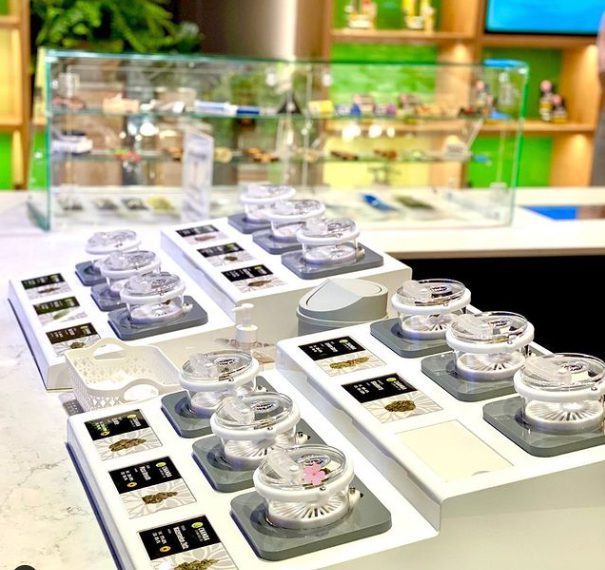 Canna-Pods® arranged on countertop display stands with strain information cards in a modern cannabis retail store.