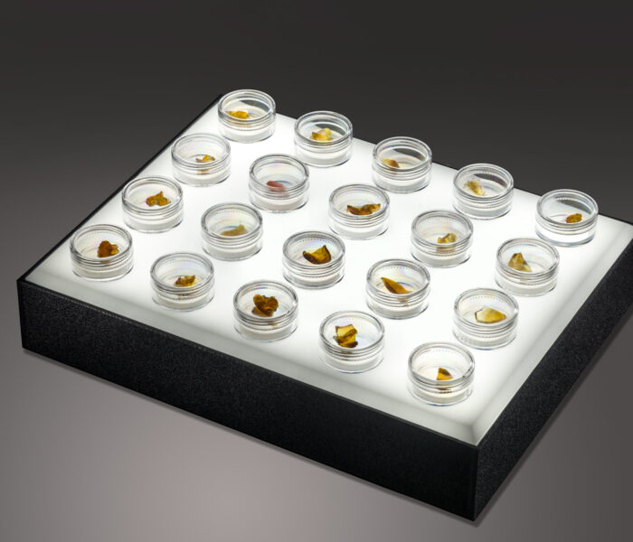 Single Xtract Tray