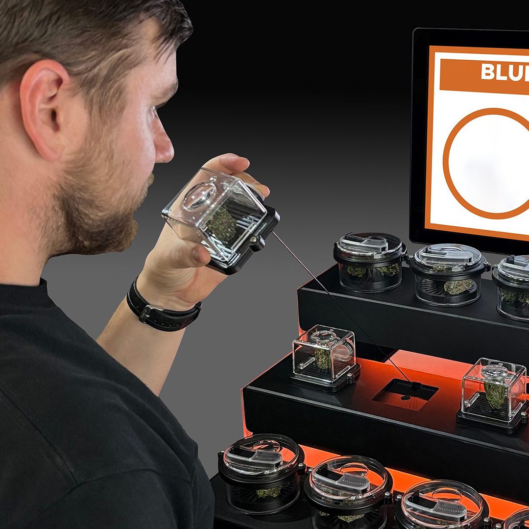 Cann-O-Vision™ - Image 3