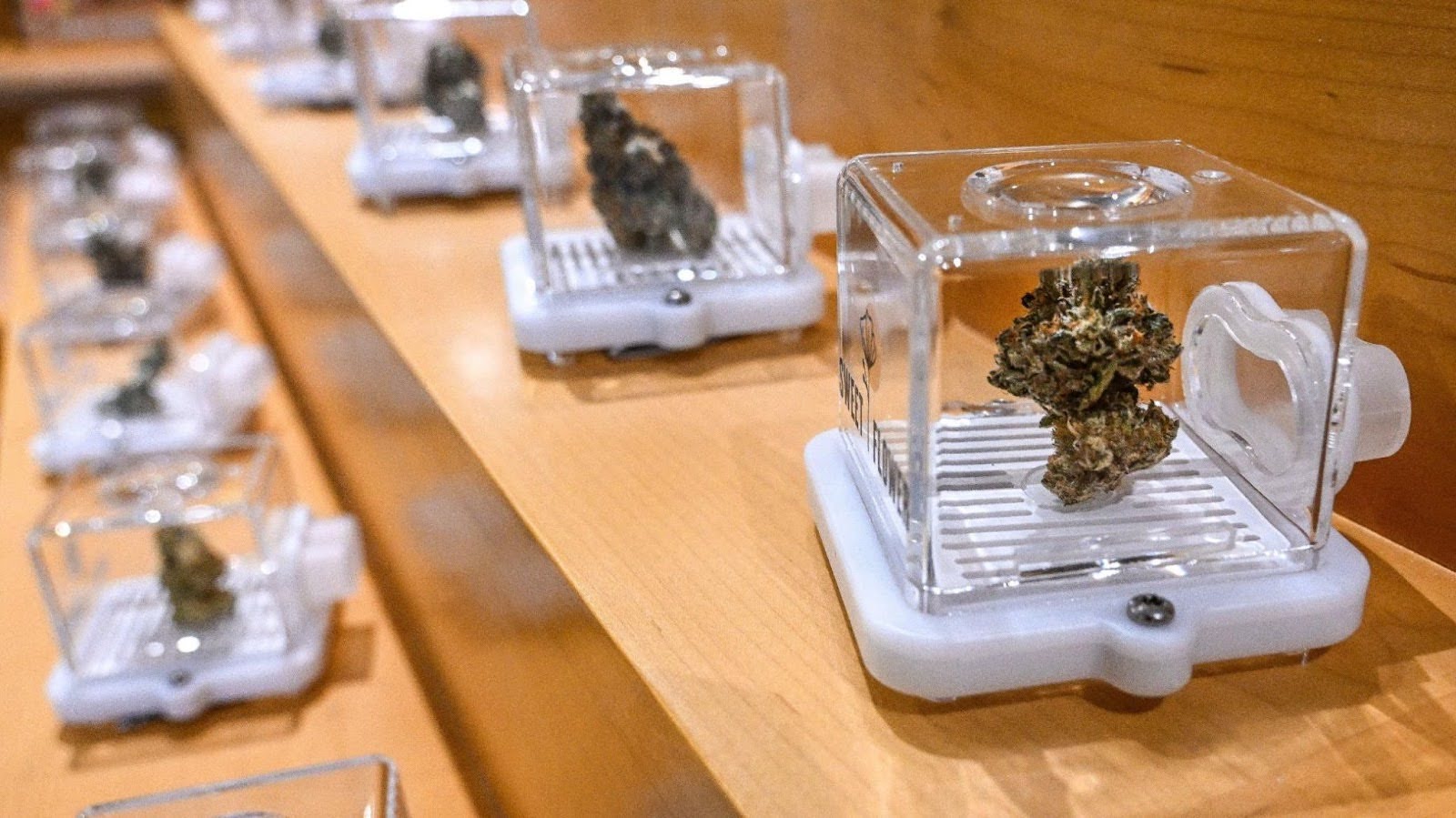 Cannabis flower displayed in Puffer Pods on a retail display shelf for customer viewing and aroma experience